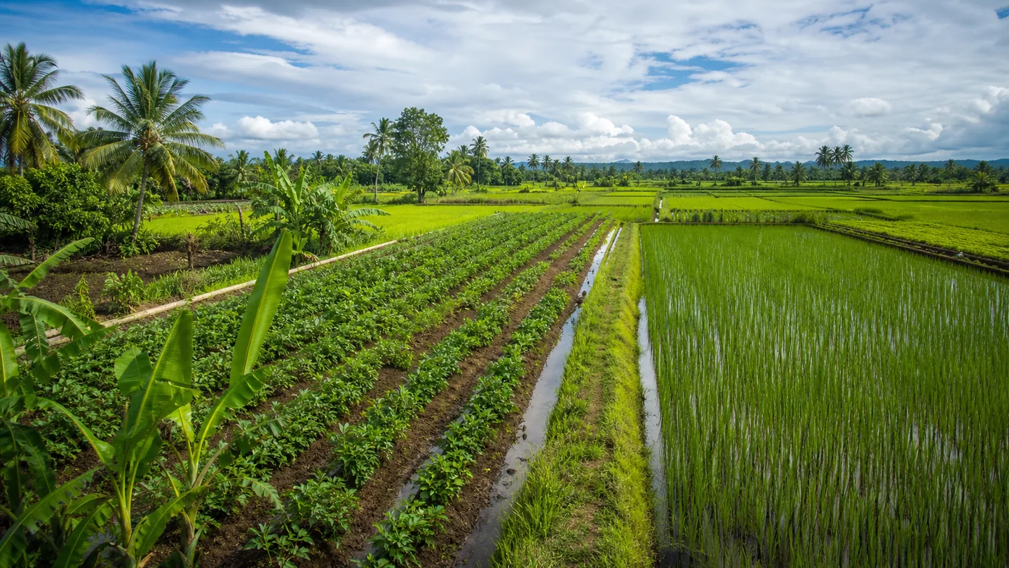 Agricultural growth and fertilizer supply chain activity in Guyana